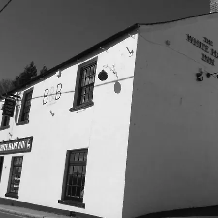 White Hart Inn-3